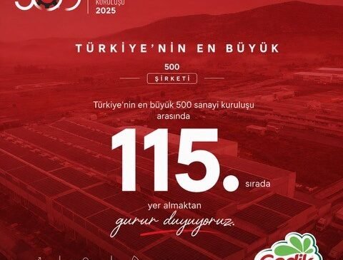 Gedik Piliç devler liginde 115. sırada yer aldı
