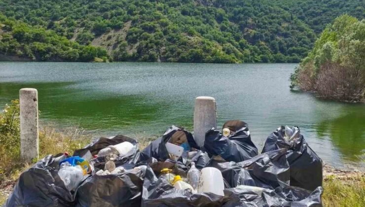 Göleti el birliğiyle temizlediler