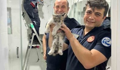 Havalandırma boşluğunda mahsur kalan kediyi itfaiye kurtarıldı