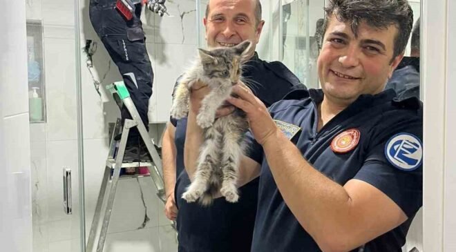 Havalandırma boşluğunda mahsur kalan kediyi itfaiye kurtarıldı