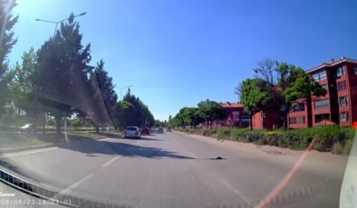 Kara yolunda mahsur kalan kaplumbağasına yardım eli
