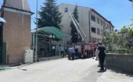 Kütahya’da ağaca takılan serçe itfaiye ekiplerince kurtarıldı