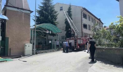 Kütahya’da ağaca takılan serçe itfaiye ekiplerince kurtarıldı