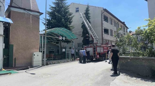 Kütahya’da ağaca takılan serçe itfaiye ekiplerince kurtarıldı