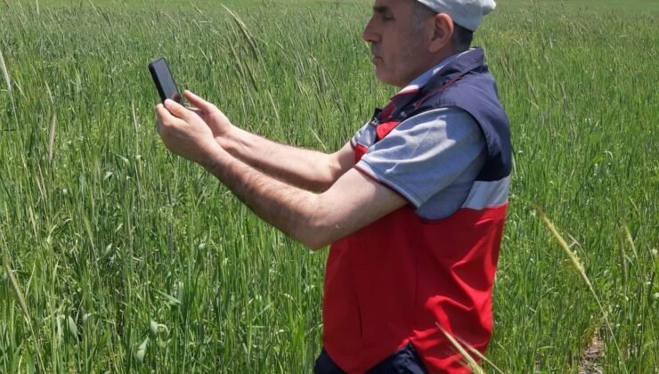 Kütahya’da arazi ve ürün kontrolleri yapıldı