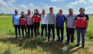 Kütahya’da çörek otu üretimi yakından takip ediliyor