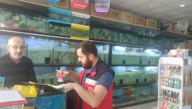 Kütahya’da ev hayvanı satış yerlerinde denetim