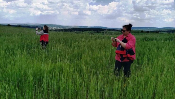 Kütahya’da saha kontrolleri ve veri giriş işlemleri aralıksız sürüyor