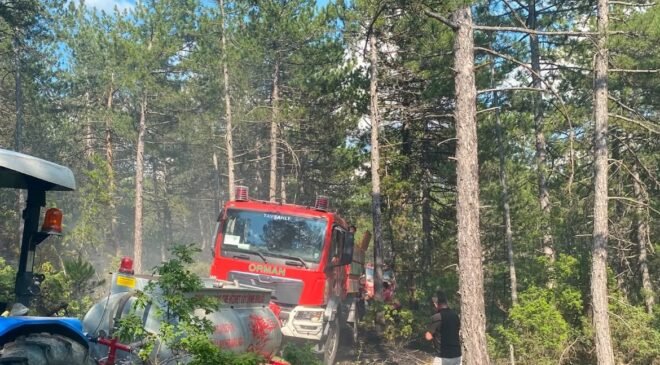 Kütahya’da yıldırım orman yangınına neden oldu