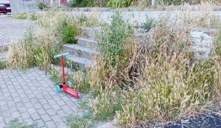 Otluk alana dönen bu park bakım ve temizlik bekliyor