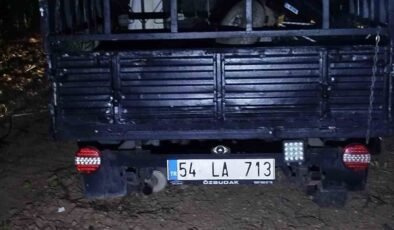 Otomobil ağaca çarptı: 2 yaralı