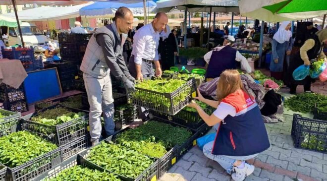 Pazarlarda satılan tohum ve fideler kontrol edildi