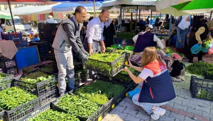 Pazarlarda satılan tohum ve fideler kontrol edildi