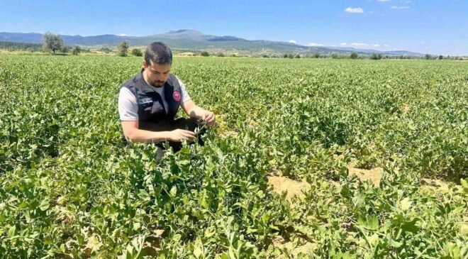 Planlı tarımsal üretim için saha çalışmaları sürüyor
