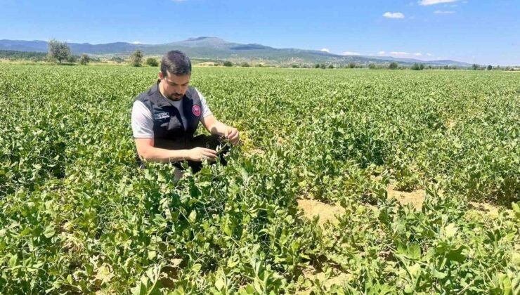 Planlı tarımsal üretim için saha çalışmaları sürüyor
