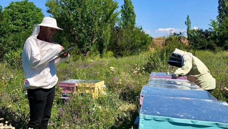 Sandıklı’da arı kovanları incelendi