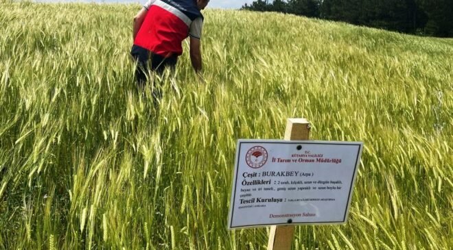 Simav’da arpa demonstrasyonlarında kontroller sürüyor