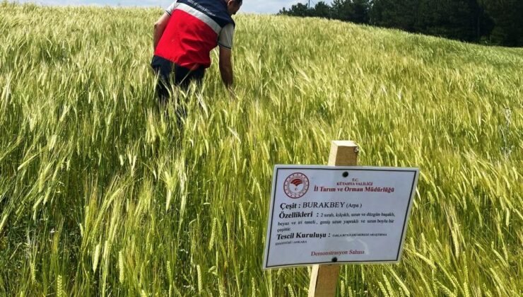 Simav’da arpa demonstrasyonlarında kontroller sürüyor