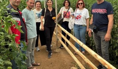 Simav’daki seracılara domates hastalıkları ve zararlıları eğitimi