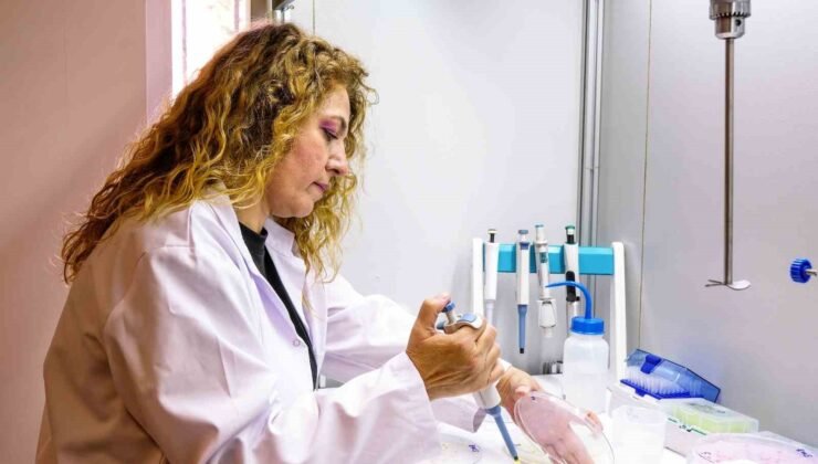 Tarımda kalite ve verimliliği güçlendiren yenilikçi test yöntemi