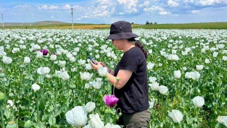 Tarımsal üretimin planlı şekilde yürütülmesi için çalışmalar sürüyor