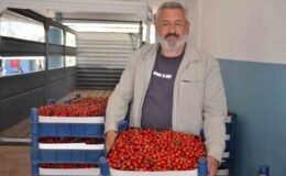 Türkiye’nin en erken kiraz yetişen ikinci ili olan Bilecik’te bu yıl rekolte yüzleri güldürdü