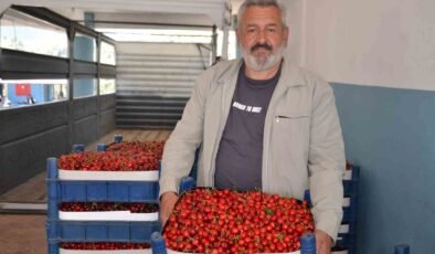 Türkiye’nin en erken kiraz yetişen ikinci ili olan Bilecik’te bu yıl rekolte yüzleri güldürdü
