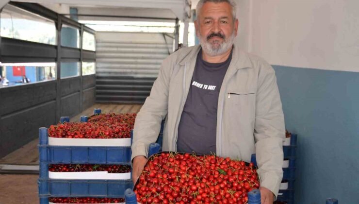Türkiye’nin en erken kiraz yetişen ikinci ili olan Bilecik’te bu yıl rekolte yüzleri güldürdü