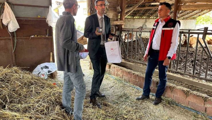 Uşak Tarım ve Orman Müdürlüğü ekipleri sahada incelemelerde bulundu