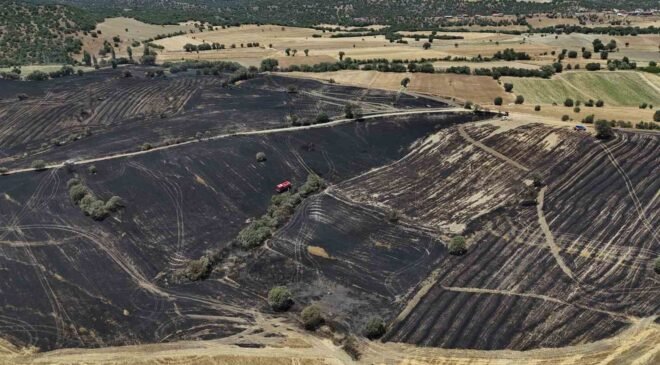 Uşak’ta çıkan yangında 300 dekar ekili alan zarar gördü