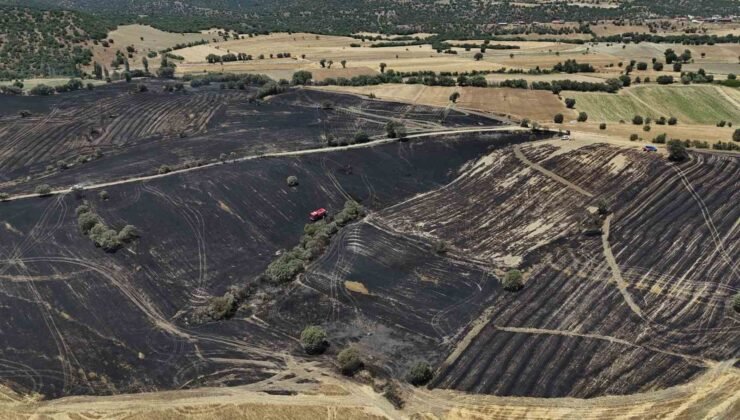 Uşak’ta çıkan yangında 300 dekar ekili alan zarar gördü