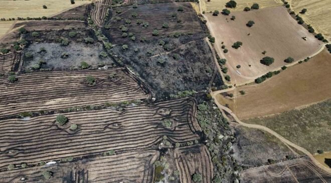 Uşak’ta çıkan yangında 600 dekar ekili alan zarar gördü