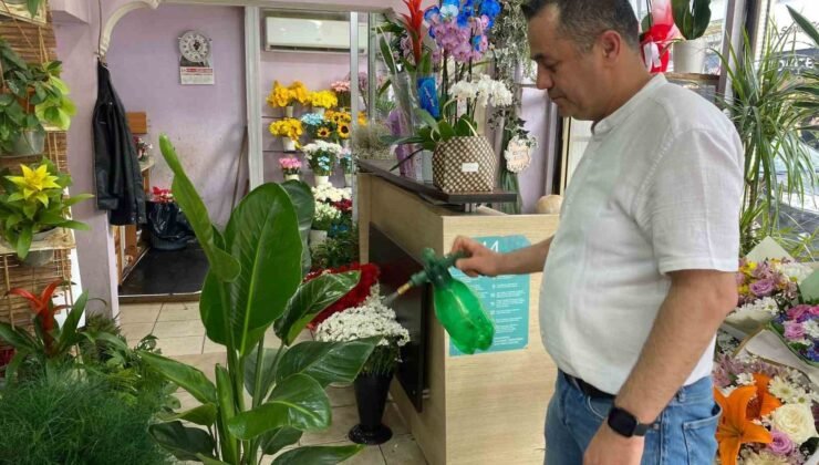 Yaz aylarında çiçek bakımında bunlara dikkat