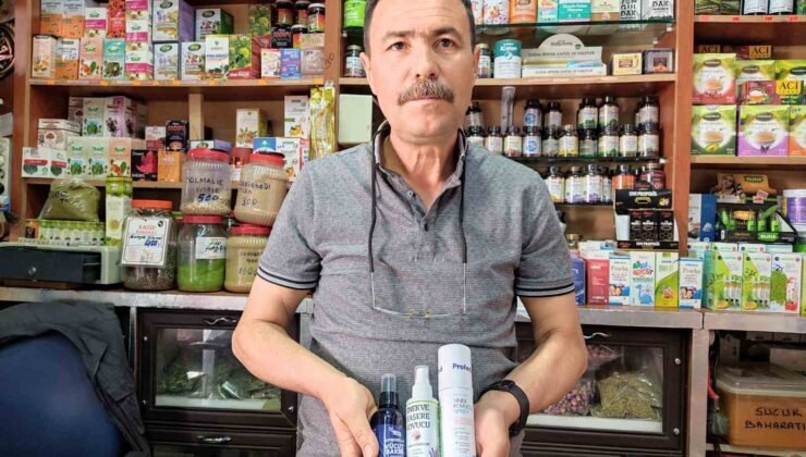 Yaz sıcaklarında haşerelerden korunmanın doğal yolları aktarlarda