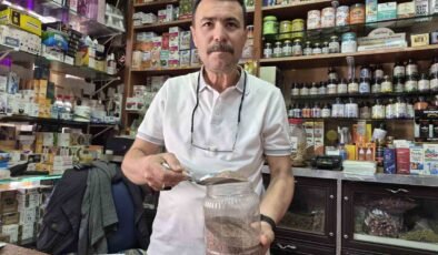 Zayıflamak isteyenlerin yeni gözdesi ’karnıyarık otu tohumu’ oldu