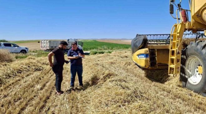 Afyonkarahisar’da hububat hasadı başladı