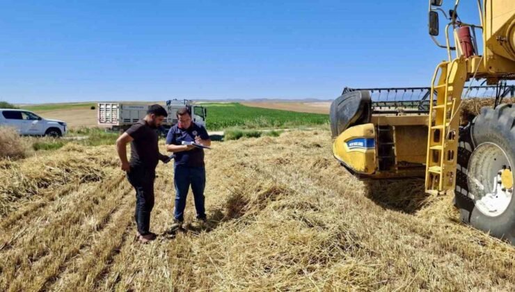 Afyonkarahisar’da hububat hasadı başladı