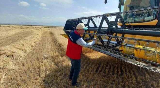 Afyonkarahisar’da hububat hasadı sürüyor
