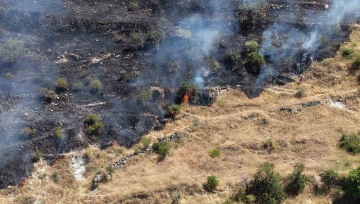 Afyonkarahisar’da otluk alandaki yangın bağ evlerine sıçradı