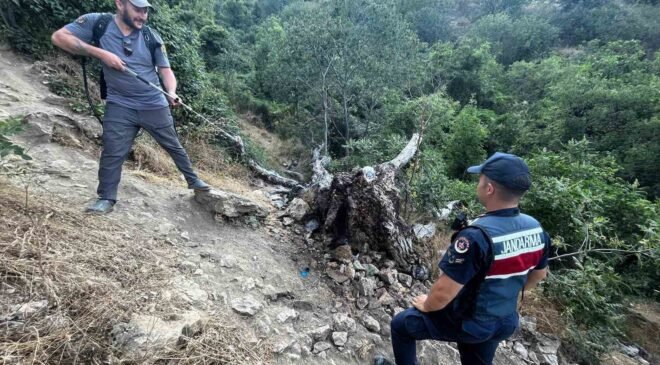 Ağaç yangını korkuttu