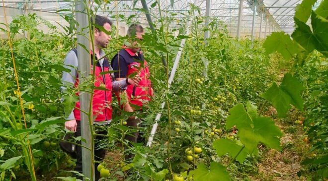 Akarçay Su Verimliliği Projesi devam ediyor