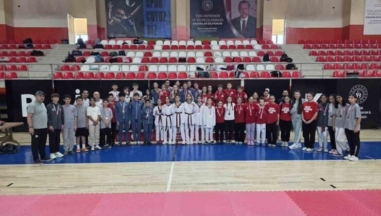 ANALİG Taekwondo İl Seçmeleri tamamlandı