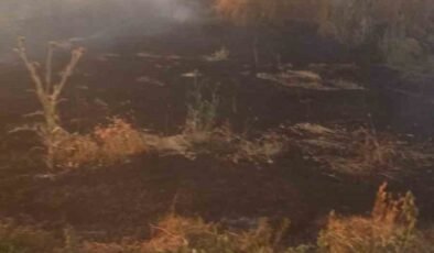 Anız yangını tarım arazileri ve ormanlık alana sıçramadan söndürüldü