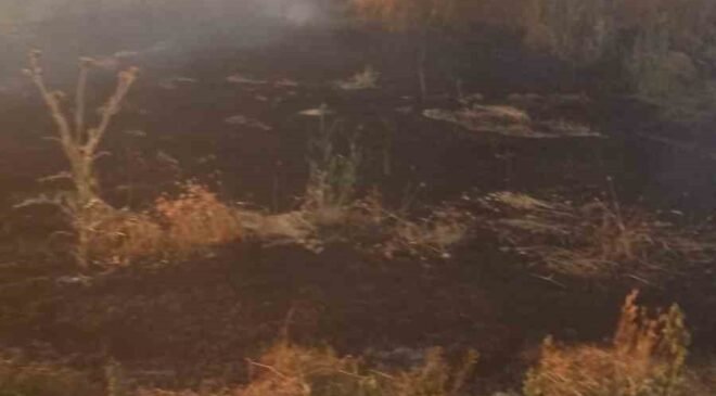 Anız yangını tarım arazileri ve ormanlık alana sıçramadan söndürüldü