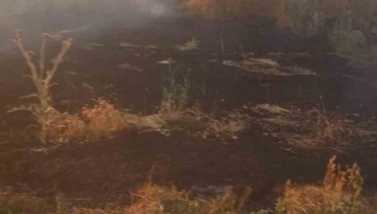 Anız yangını tarım arazileri ve ormanlık alana sıçramadan söndürüldü