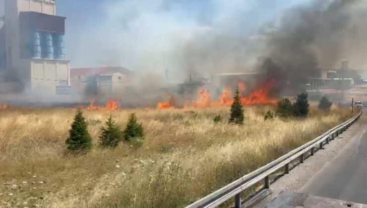 Anız yangını trafikte aksamaya neden oldu