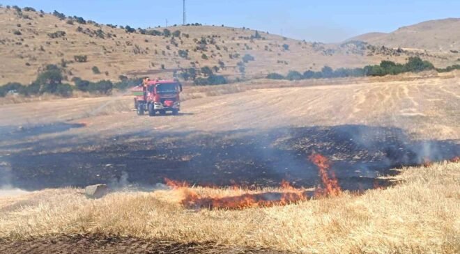 Anız yangınında 200 dekar alan zarar gördü