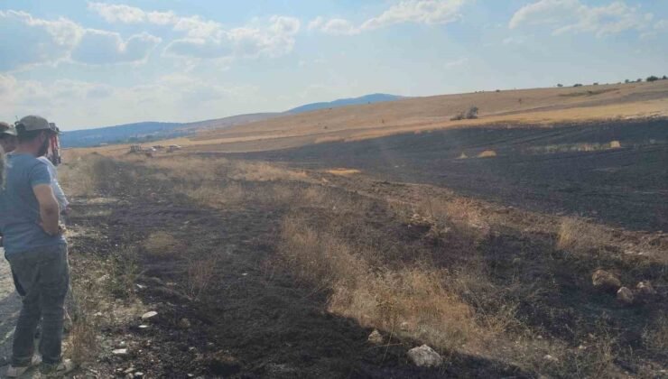 Biçerdöverden çıkan ekin yangını büyümeden söndürüldü