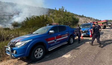 Biçme makinesinden çıkan kıvılcım ormanı yaktı, aracın operatörü gözaltına alındı