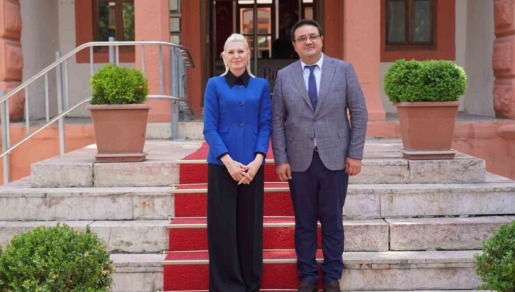 Bilecik Belediye Başkan Yardımcısı Gökten, görevinden istifa etti